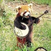 拾玖856的个人资料头像