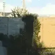 肥肠拌屎的个人资料头像