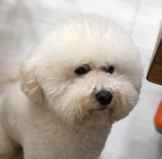 JamesPan的个人资料头像