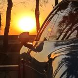 聪明的小猫1c1头像