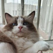 用户9396637975417的个人资料头像