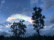 小y_的个人资料头像