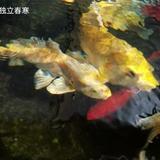 用户5619540152857头像