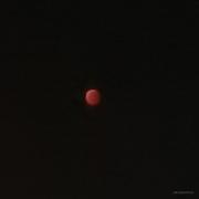 从小不爱说话的个人资料头像