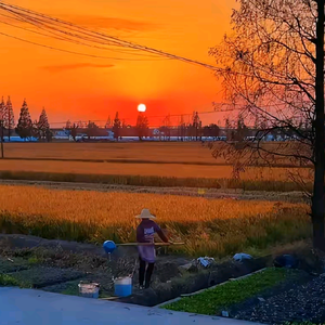 乡村海哥头像