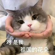Echo小蕾的个人资料头像