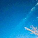 DavidFeng的个人资料头像