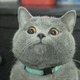 loydlee的个人资料头像