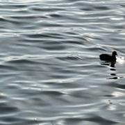 hill_ming的个人资料头像