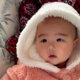 奥利给94233头像