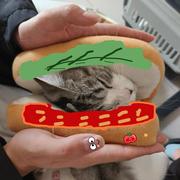 年糕三明治的个人资料头像