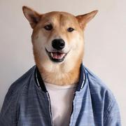 gongcheng574的个人资料头像