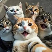 烟雨任萍生啊头像