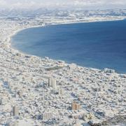 hsky的个人资料头像