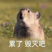 随风67的个人资料头像