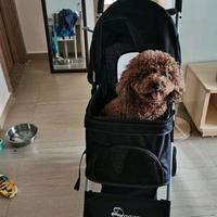 博学荷叶j头像