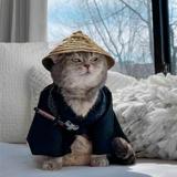 小虎吖ovo头像