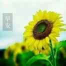 东北甜妹50头像
