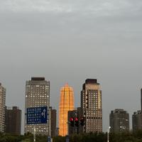 沙丁鱼就是鱼头像