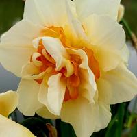 用户5362664725101头像