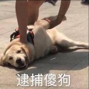 我被打了两百多抢的个人资料头像