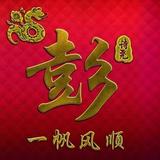 大湾区卫士头像