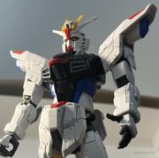 布鲁布鲁社畜的个人资料头像