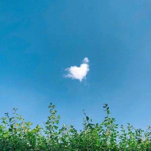 山东黄金但是都是头像