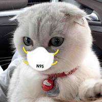 用户1364066928780头像