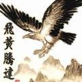 自由翱翔160258139头像