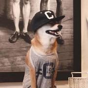 happy007的个人资料头像