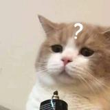 用户8002112786849头像