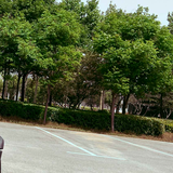 然不是仙ya头像