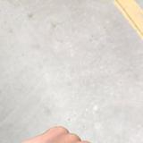 無舆243头像