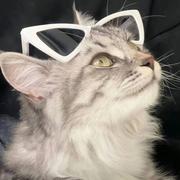 迷失自我的个人资料头像