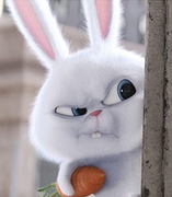 泡泡棠的个人资料头像