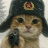 知玉足常乐头像