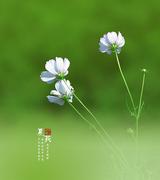 热情小伙35的个人资料头像