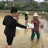 莫信头像