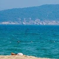 春雨贵如油元头像