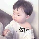 乔科288头像