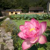 用户9491985466023头像