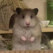 xxDirtydd的个人资料头像