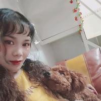 清闲的清风eU2头像