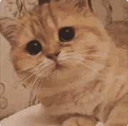 运气来得若有似无的个人资料头像