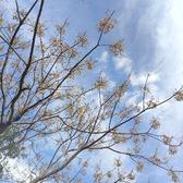 虞山鱼头像