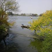 xiongjie的个人资料头像