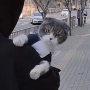 Jery_的个人资料头像