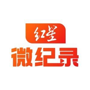 红星微纪录