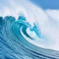 浮云56833头像